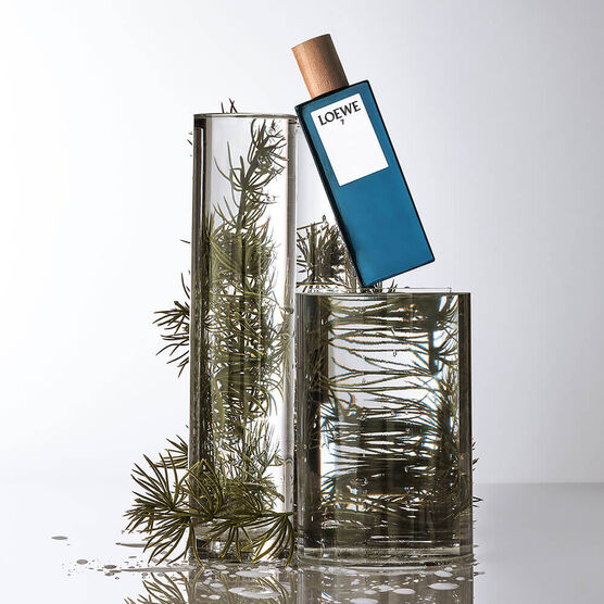 LOEWE      7 LOEWE       EDT  100ML